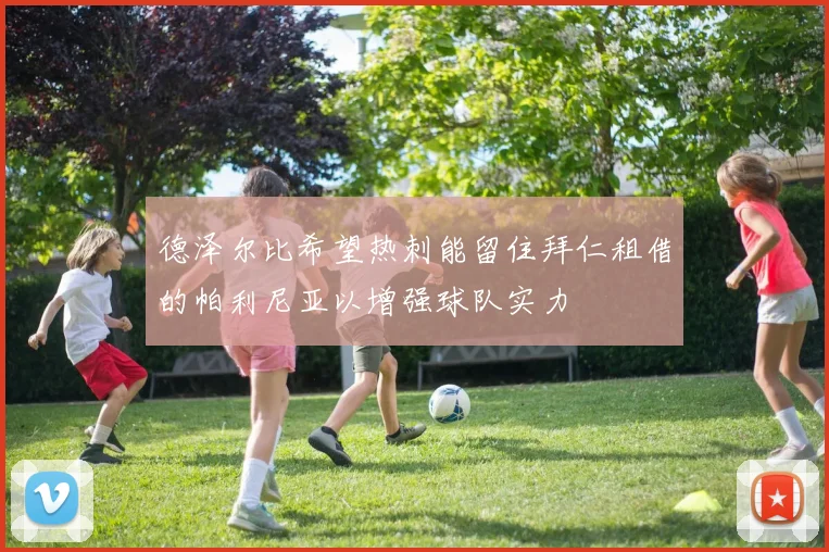 德泽尔比希望热刺能留住拜仁租借的帕利尼亚以增强球队实力