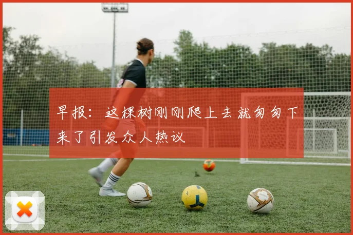 早报：这棵树刚刚爬上去就匆匆下来了引发众人热议